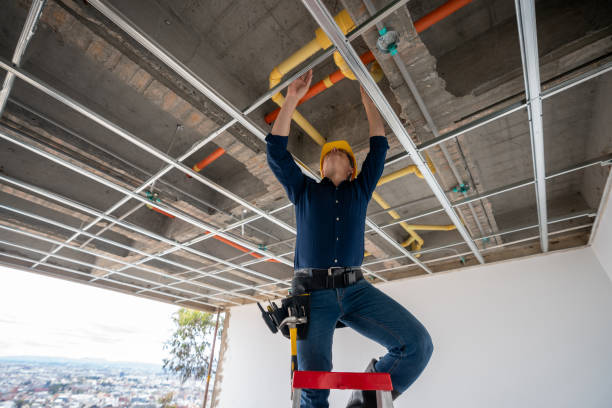 Best Affordable Plumber Near Me  in Ferndale, WA