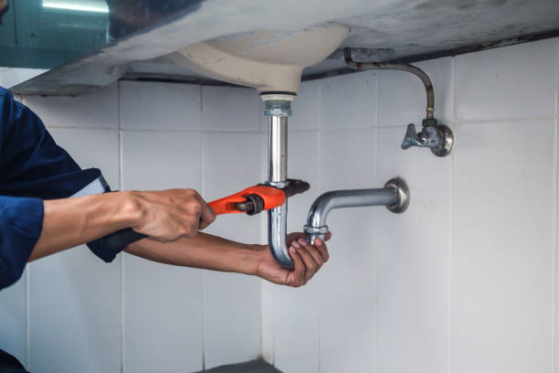 Best Clogged Drain Plumber  in Ferndale, WA